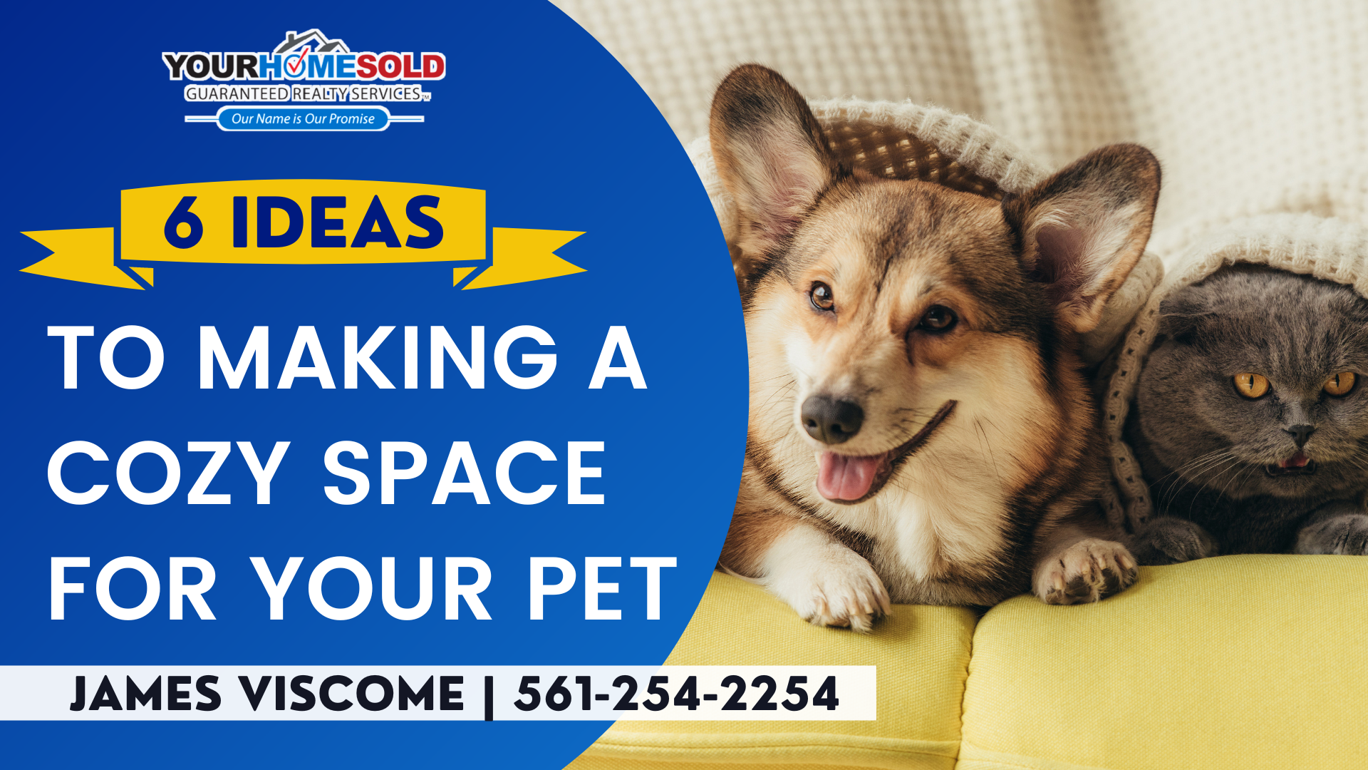 6 IDEAS TO MAKING A COZY SPACE FOR YOUR PET